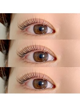 ジョリー(Jolie)/