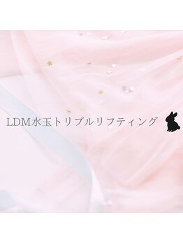ハーゼ(Hase)/LDM/水玉トリプルリフティング