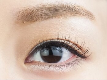 フリープ(freep)/ハイブリット160本 春 夏 秋 冬