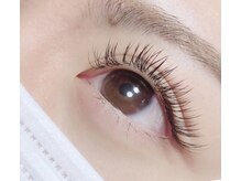 エルモ(elmo)/フラットラッシュ140本