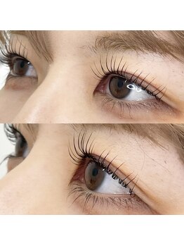 リンク(Link)/カールが選べるラッシュリフト