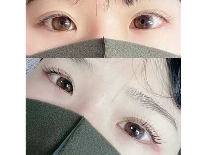 シュシュ(chouchou)の写真