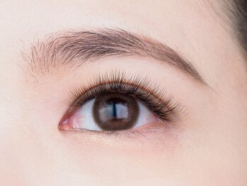 ラッシュラッシュ イーストモール店(Lash Rush)/ＬＥＤ　6Ｄ×360本(両目60束)