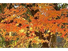 リラクゼーション整体 りめいく