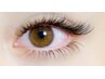 下まつ毛付け放題　¥4350