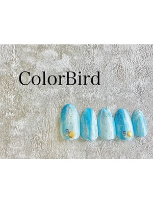 ネイルサロン Color Bird【カラーバード】