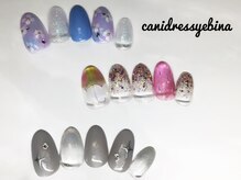 キャンアイドレッシー 海老名/定額ネイル　プラチナ