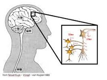 足つぼまーさん/