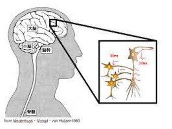 足つぼまーさん/
