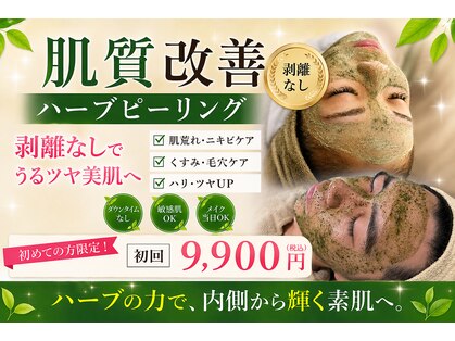 プルメリアの写真