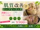 プルメリアの写真