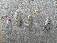 ツリーハウスネイル(tree house nail)/ハンド定額¥6900