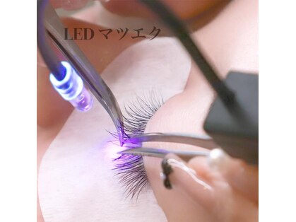 ラ フルール(La fleur)の写真