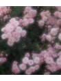 .HALeye ワンホンまつげ・パリジェンヌ・HBL/.HAL