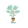 オリーブ(Olive)のお店ロゴ