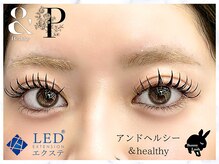 バニーラッシュ(Bunny Lash)/アンドヘルシーバインドロック