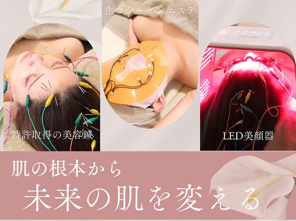 オンケイ(ONKEI)の写真