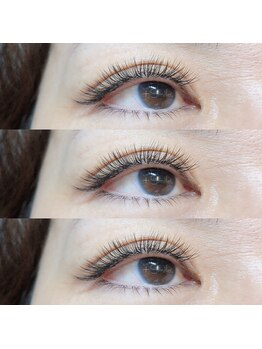 プリュスマイル(+Smile.)/シングル×ボリュームラッシュ