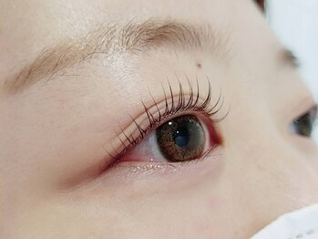 アンドラッシュ アンドネイル 本郷三丁目駅前店(and lash/and nail)/［ラッシュリフト］