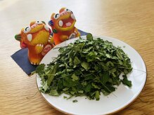 グリーンルピナス 博多駅店(Green Lupinus)/九州産モリンガ！