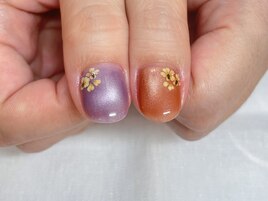 定額＊押し花＊パラジェル