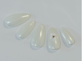 定額デザイン ¥7800