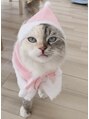 小顔整体研究所 KSラボ 町田店 うちの猫です！おおらかでとっても可愛いんです♪