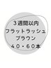 【3週間以内ご来店 】リピーター様優待価格【フラットブラウン】40・60本