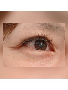 リコリス(licoris)/ボリュームラッシュ