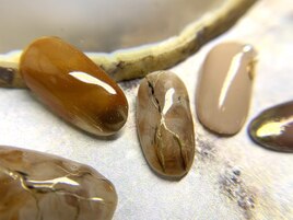 10月定額デザイン