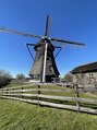 撫の樹 風車とチューリップの国オランダで色んな国の方に施術しました。