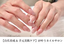 リリー(Lilly)