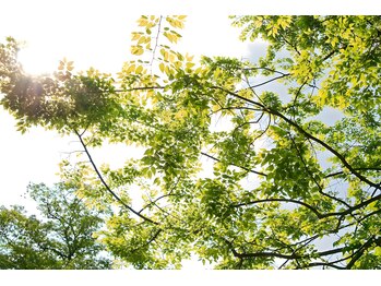 お暇(Oitoma)の写真/週末まで待たない、賢くリセット。無意識の力みも解く熟練手技。極上スパ+眼精疲労75分￥9500→￥7500
