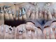ラムネイル 恵比寿店(RAMU nail)の写真