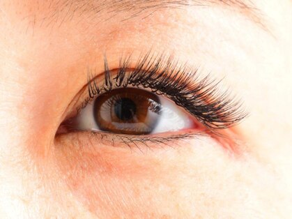 フィアクレー アイ(Vierklee eye)の写真