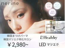 ネリネ 天神(nerine)