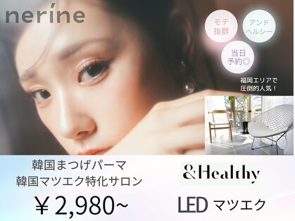 ネリネ 天神(nerine)の写真