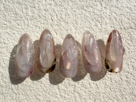 《hand》春限定◎定額ネイル