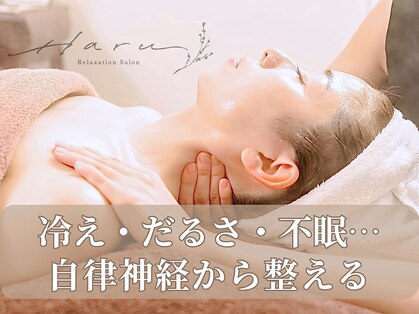 ハル(Haru)の写真