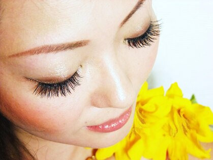 アンジェリークアイラッシュ(Angelique Eye Lash)の写真