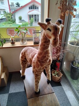 ほぐし手すっきりん 那覇小禄店/きりん置物　もみほぐし