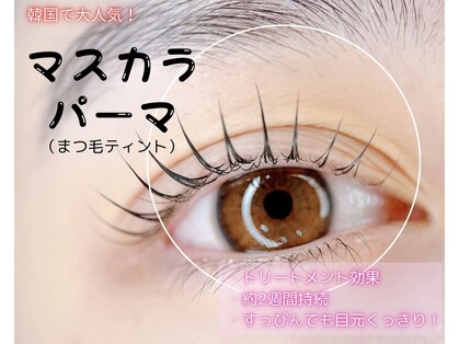 ベラ 吉祥寺(Bella)の写真