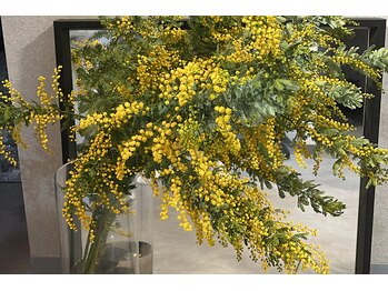 ザ スリム スパ リュクス(THE Slim Spa LUEX)/【勝どき】サロンの風景