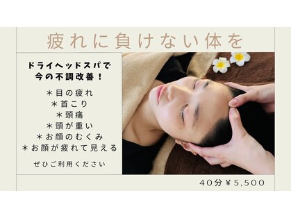 コーラル(CORAL)の写真