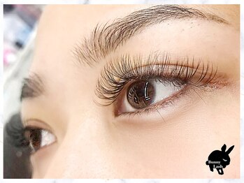 バニーラッシュ(Bunny Lash)/【ボリュームラッシュ500本】