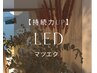 【圧倒的持続力】LEDフラットラッシュマツエク　付け放題　¥7500 ８/31迄