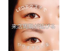 レッドハウス(RED HOUSE)の雰囲気(マジカルパーマエクステで大人可愛い目元に◎LED装着)