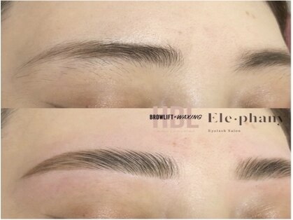 エレファニー(Ele phany)の写真