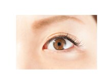 アリエル(Ariel)/セーブル１０0本仕上がり