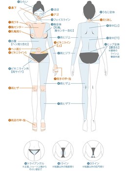 トゥルリア(TRULIA)/・・・パーツ参考・・・